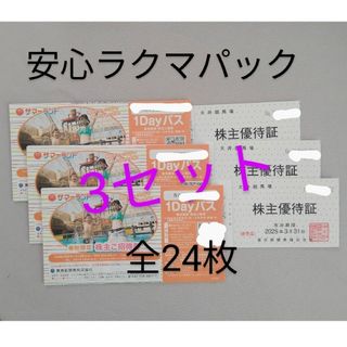 東京都競馬 株主優待 東京サマーランド(その他)