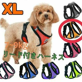 セール　オレンジ XL リード付きハーネス 首輪 胴輪 散歩 メッシュ(犬)