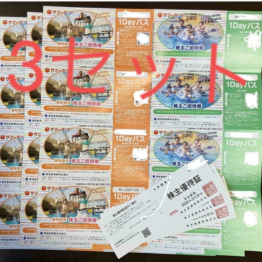 東京サマーランド 1Dayパス 12枚 (サマーランド 株主優待 夏 12 東京サマーランド 1Dayパス 12枚 (サマーランド 株主優待 夏 12