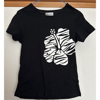 イマージュ(IMAGE)のレディースTシャツM(Tシャツ/カットソー(半袖/袖なし))