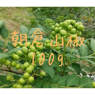 山椒の実 100g　大分県産 朝倉山椒 農薬不使用 青山椒 実山椒