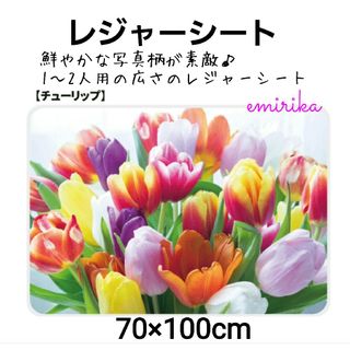 チューリップ　レジャーシート　写真柄　70×100cm　お弁当に！　インスタ映え(弁当用品)