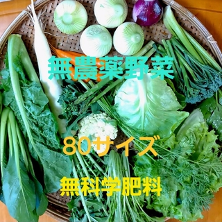 無農薬野菜　80サイズ　無科学肥料(野菜)
