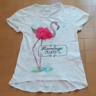 ZARA ZARA Girls ザラ キッズ 半袖 Tシャツ サイズ130