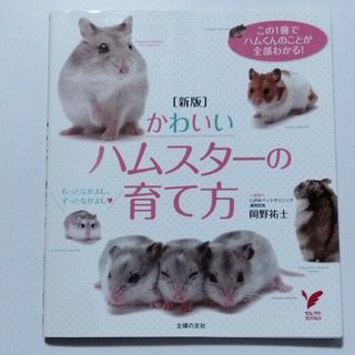 かわいいハムスタ－の育て方