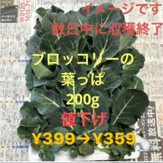 スティックセニョールの葉っぱ(野菜)