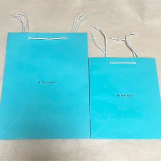 ティファニー(Tiffany & Co.)の紙袋　ティファニー　ショッパー　ショップ袋　TIFFANEY & Co. 2枚(ショップ袋)