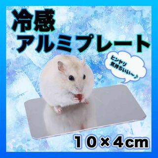 冷感アルミプレート 10×4cm クール 小動物 熱中症対策 ハムスター ペット(小動物)