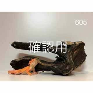 流木【605】(置物)