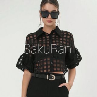 ブロックチェック シアー ブラウス♡3 ZARA ナルシス  LONDA ビビィ(シャツ/ブラウス(半袖/袖なし))