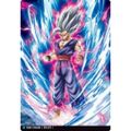 PSA10 ドラゴンボール イタジャガ カード 孫悟空 ビースト ドラゴンボール イタジャガ 孫悟飯 孫悟空 孫悟飯ビースト