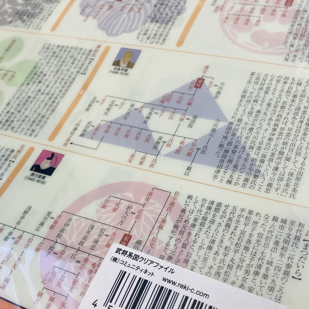 【新品】武将系図　クリアファイル エンタメ/ホビーのコレクション(その他)の商品写真