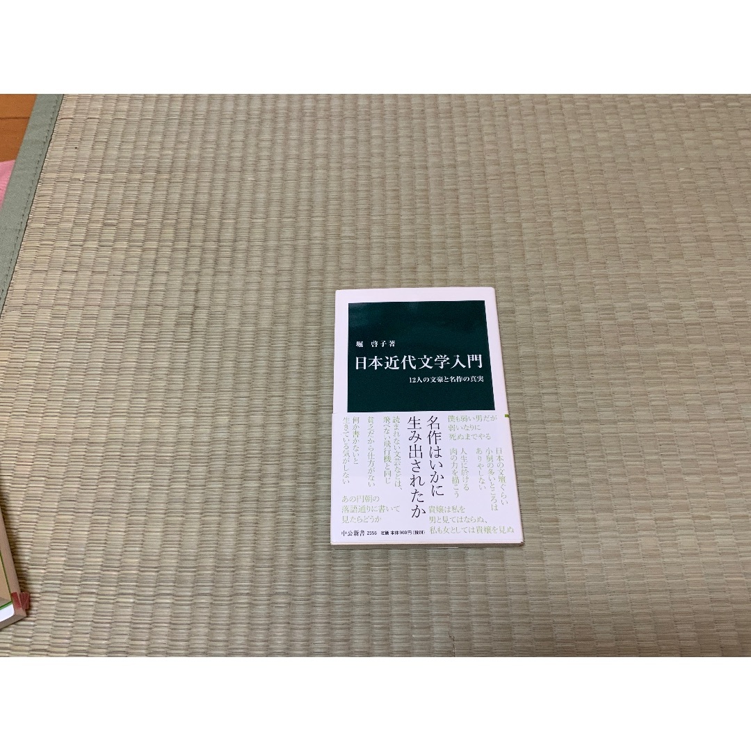 日本近代文学入門 エンタメ/ホビーの本(ノンフィクション/教養)の商品写真