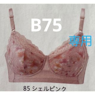 シャルレ(シャルレ)のシャルレ　ミライ　ブラ　B75(ブラ)