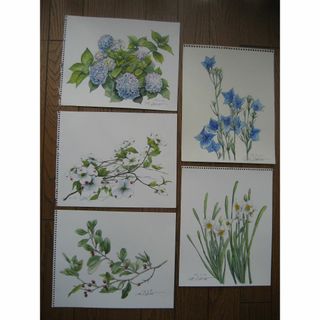 原画　季節の草花（その７３）水彩画５点(その他)