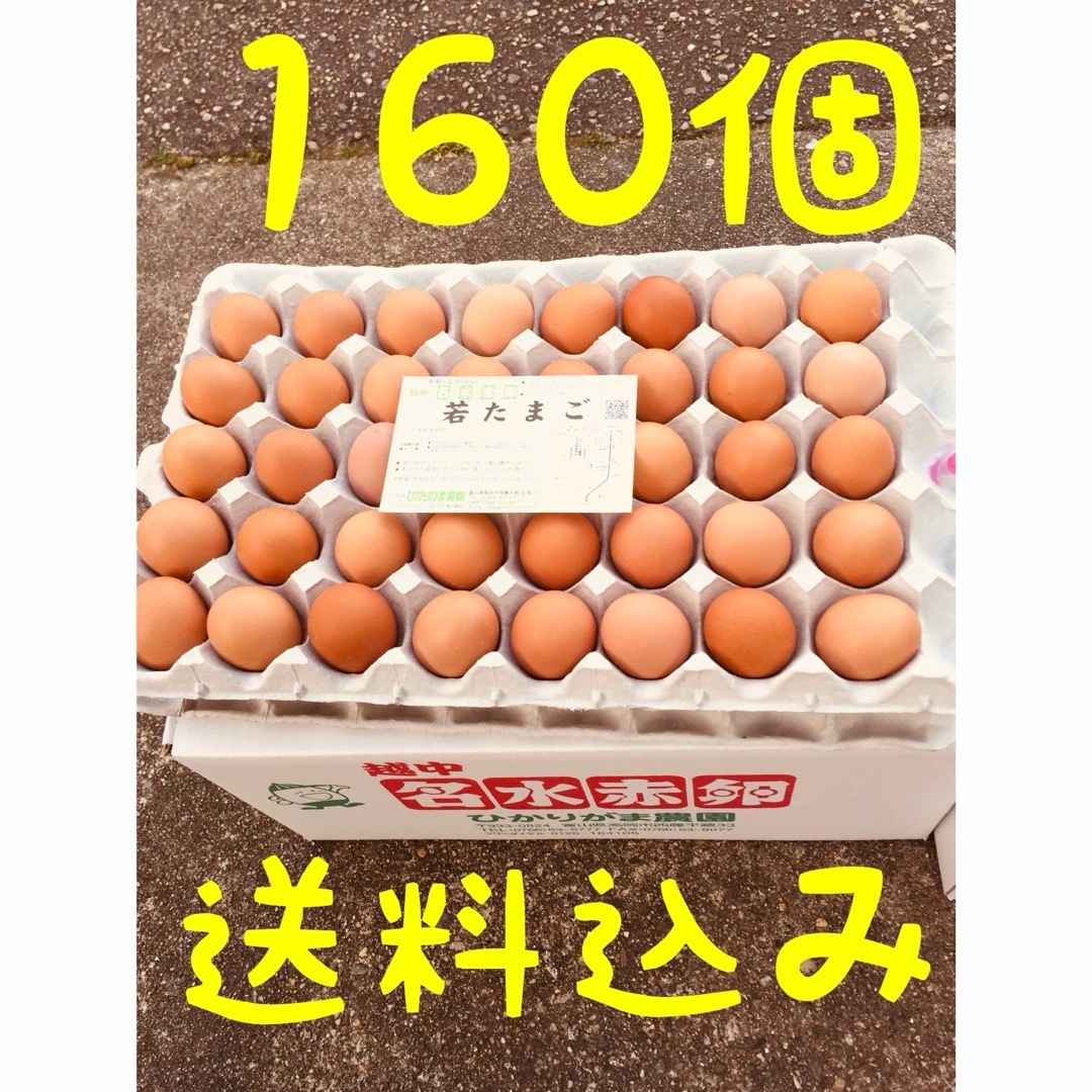 160個　若たまご　卵掛けご飯　生2週間　加熱1ヶ月　北海道、沖縄別 食品/飲料/酒の食品(野菜)の商品写真