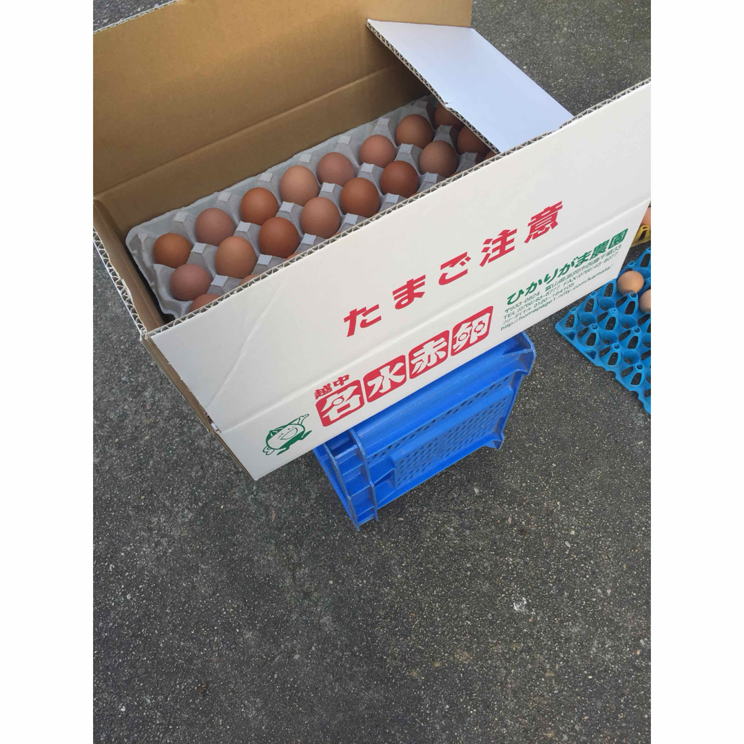 160個　若たまご　卵掛けご飯　生2週間　加熱1ヶ月　北海道、沖縄別 食品/飲料/酒の食品(野菜)の商品写真