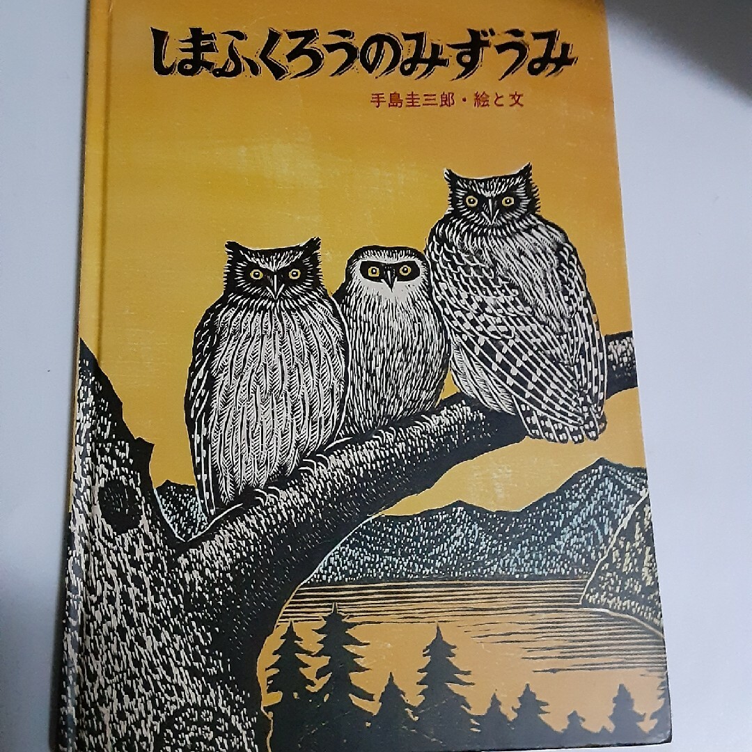 しまふくろうのみずうみ エンタメ/ホビーの本(絵本/児童書)の商品写真