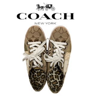 COACH スニーカー　25㎝　ユニセックス　派手柄