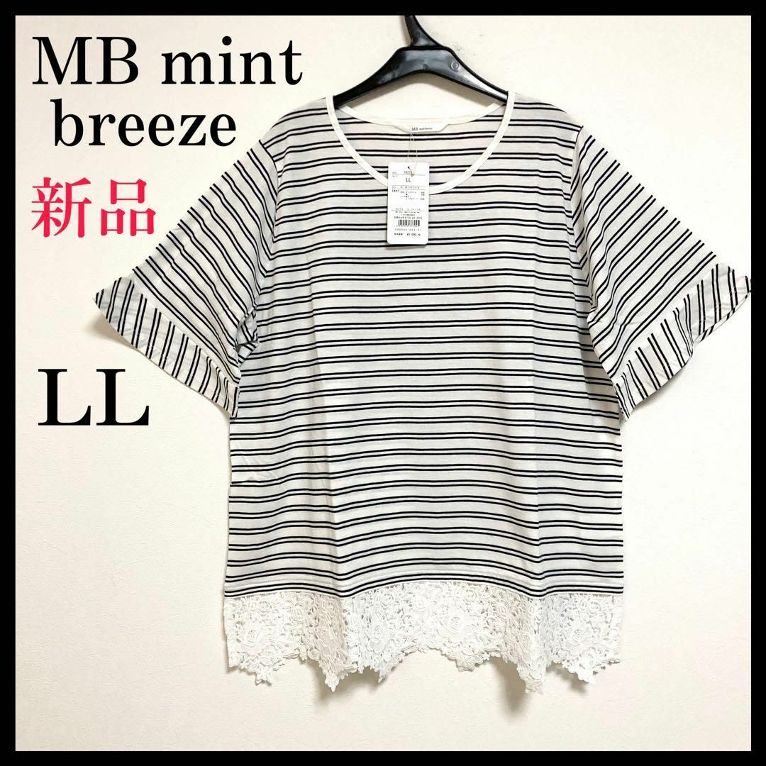 MINT BREEZE(ミントブリーズ)の【大きいサイズ】 エムビーミントブリーズ ボーダー 半袖 シャツ レース LL レディースのトップス(Tシャツ(半袖/袖なし))の商品写真