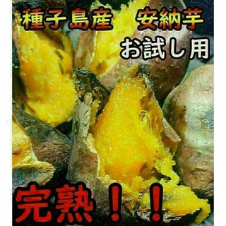 【種子島産】お試し用3S　安納芋紅1kg ねっとり！完熟！【K-GAP取得】(野菜)