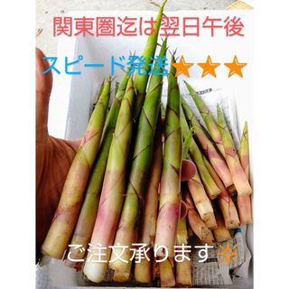 天然タケノコ　1ｋｇ　青森産(野菜)