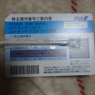 エーエヌエー(ゼンニッポンクウユ)(ANA(全日本空輸))のANA 株主優待券　1枚(航空券)