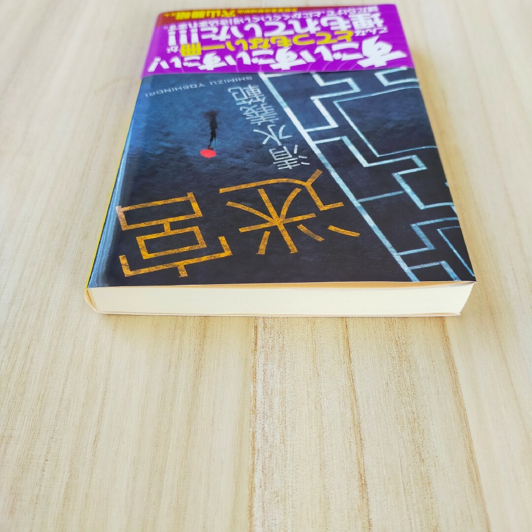 ★「迷宮」清水義範 エンタメ/ホビーの本(文学/小説)の商品写真