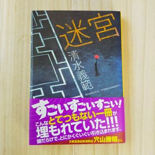 ★「迷宮」清水義範(文学/小説)