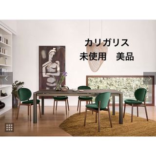 ⭐︎未使用⭐︎美品⭐︎Calligaris / カリガリス INES 木脚②