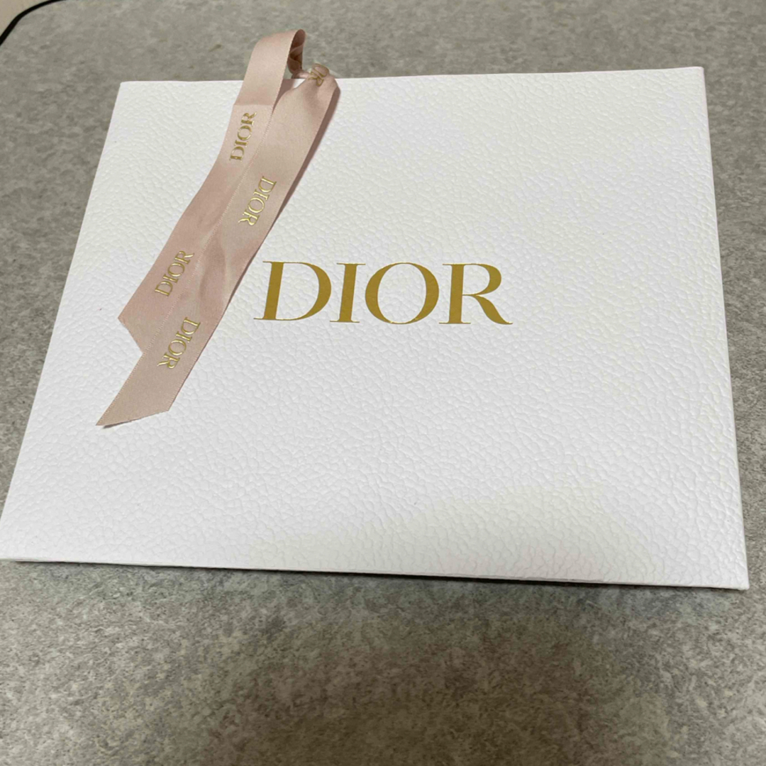 Christian Dior(クリスチャンディオール)のDior ショップ袋　2枚セット エンタメ/ホビーのアニメグッズ(その他)の商品写真