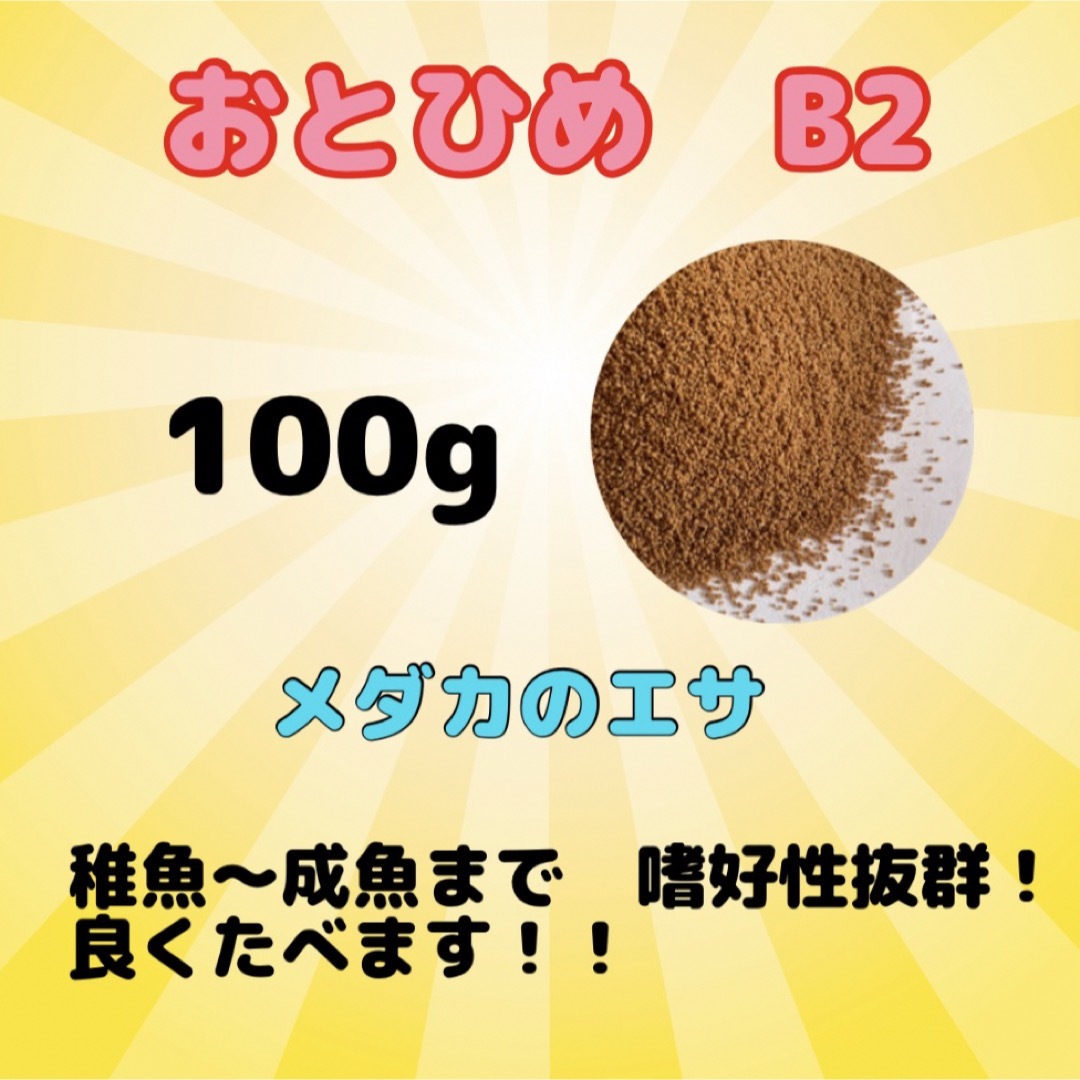 おとひめB2 メダカのエサ　100g その他のペット用品(アクアリウム)の商品写真