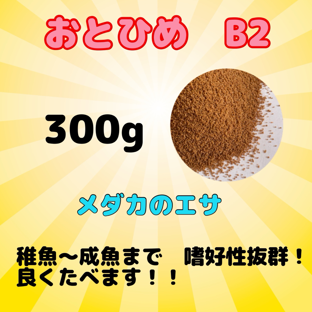 おとひめB2 メダカのエサ　300g その他のペット用品(アクアリウム)の商品写真