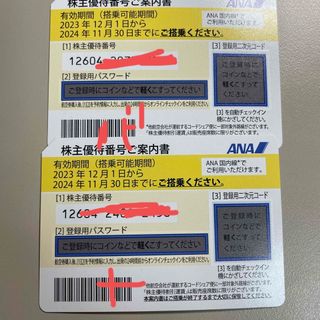 エーエヌエー(ゼンニッポンクウユ)(ANA(全日本空輸))の★ANA全日空　株主優待券2枚 ⚫︎有効期限2024年11月末⚫︎送料無料(航空券)