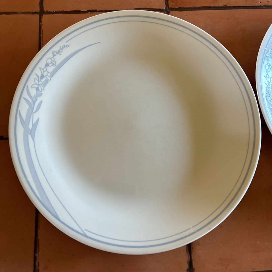 CORELLE(コレール)のオールドアメリカ風　コレール　レトロなディナー皿2枚 インテリア/住まい/日用品のキッチン/食器(食器)の商品写真