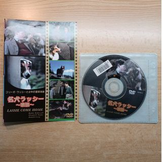 名犬ラッシーDVD1枚(外国映画)