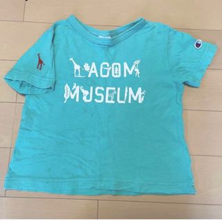 チャンピオン(Champion)のchampion✖️LAGOM サファリーTシャツ120cm(Tシャツ/カットソー)