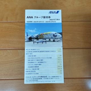 エーエヌエー(ゼンニッポンクウユ)(ANA(全日本空輸))のANA グループ 優待券(その他)