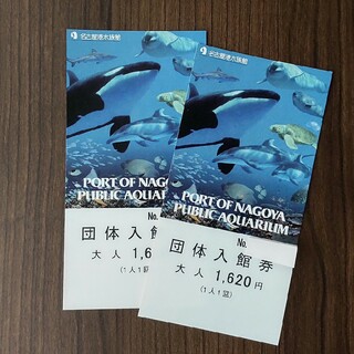名古屋港水族館　入場チケット　大人2枚(水族館)