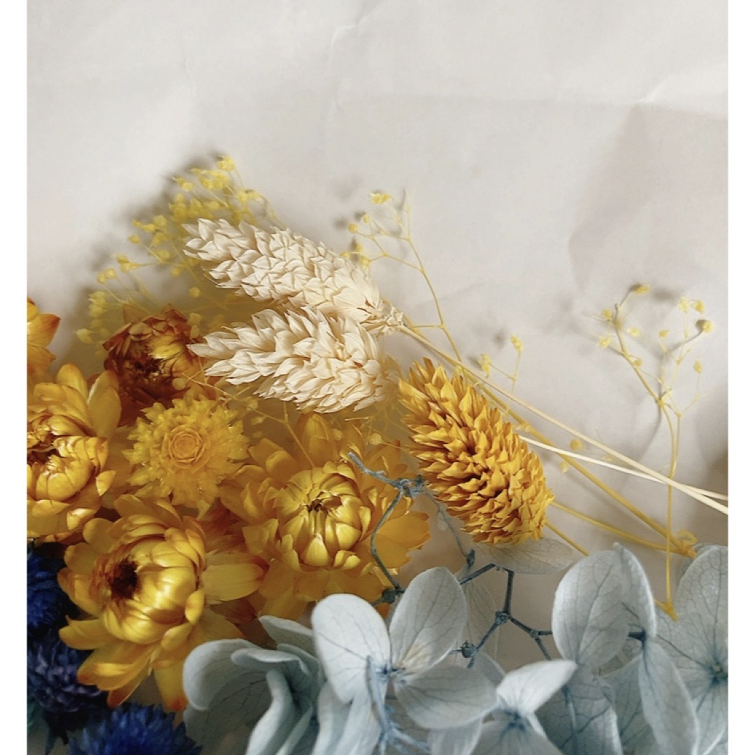 ハーバリウム、キャンドルなどの花材　 ハンドメイドのフラワー/ガーデン(プリザーブドフラワー)の商品写真