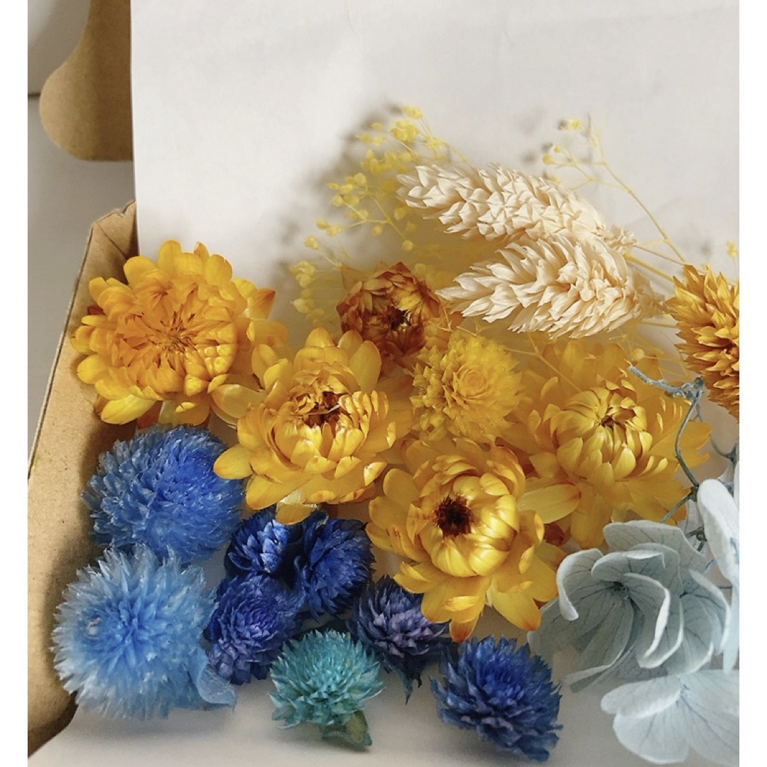 ハーバリウム、キャンドルなどの花材　 ハンドメイドのフラワー/ガーデン(プリザーブドフラワー)の商品写真