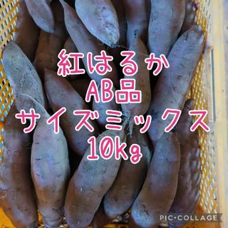 紅はるかAB品　サイズミックス10kg(野菜)