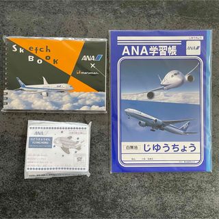 ANA(全日本空輸) - ANA フライトタグ ストラップの通販 by アイスマン ANA(全日本空輸) - ANA フライトタグ ストラップの通販 by アイスマン