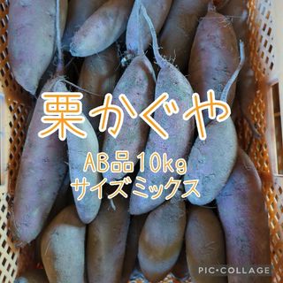 栗かぐやAB品　サイズミックス10kg(野菜)