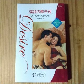 渓谷の熱き夜 秘められた思い(文学/小説)