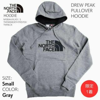 ザノースフェイス(THE NORTH FACE)の【新品未使用】ザ　ノースフェイス　ドリューピーク　フーディー(パーカー)