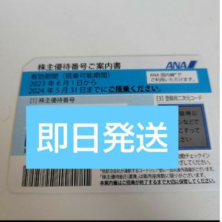 エーエヌエー(ゼンニッポンクウユ)(ANA(全日本空輸))のANA　株主優待券　１枚(航空券)