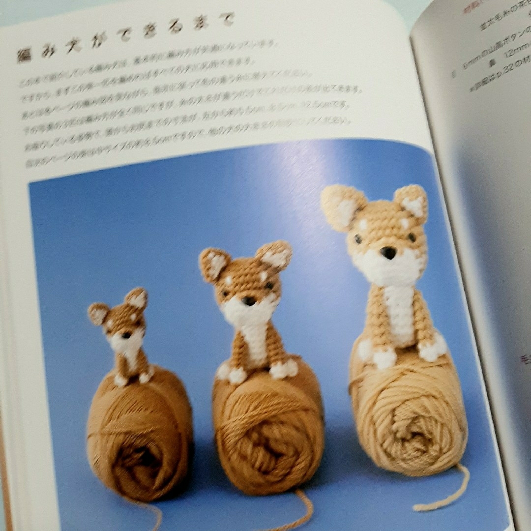 編み犬の毎日 : ami ami dogs エンタメ/ホビーの本(趣味/スポーツ/実用)の商品写真