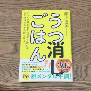 【新品同様】うつ消しごはん 藤川徳美 メガビタミン療法 藤川理論(健康/医学)