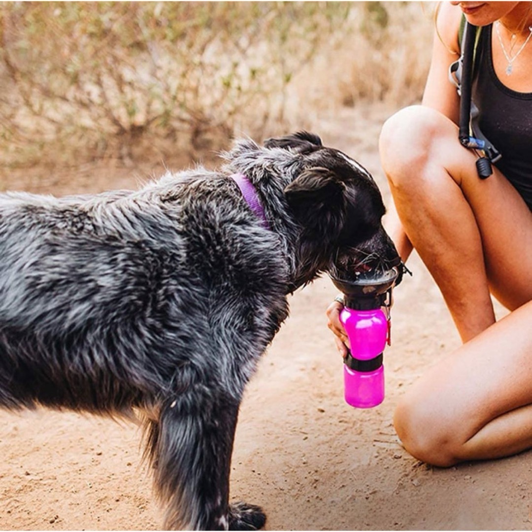 グレー お散歩 ウォーターボトル ペット用 水筒 500ml 犬　吸水ボトル その他のペット用品(犬)の商品写真